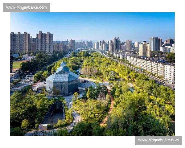 现场直击城市更新一线见闻与发展脉动全景记录深度观察时代变迁